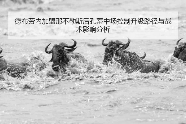 德布劳内加盟那不勒斯后孔蒂中场控制升级路径与战术影响分析